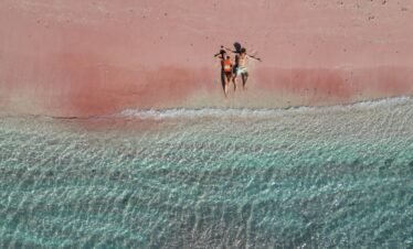 Create Your Own Trip or Let Us Create It for You